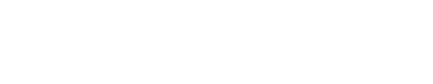 PRVI VLASNIK